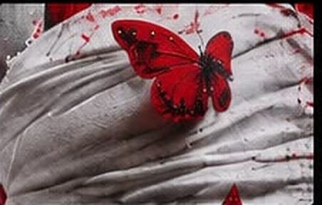 Acercamiento de Blessings: Mariposa roja
