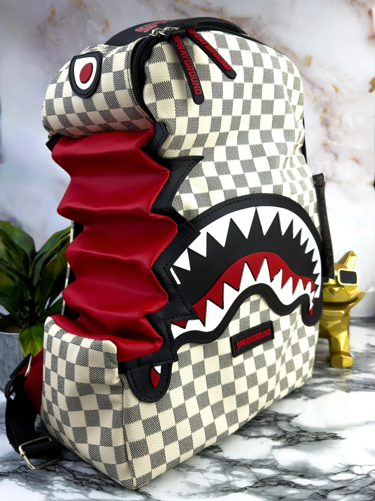 Morral SPRAYGROUND #10